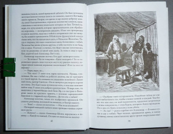 Луи Буссенар: Похитители бриллиантов