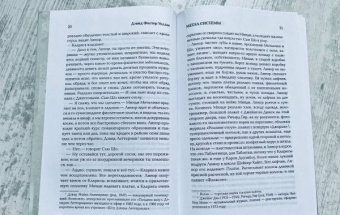 Дэвид Уоллес: Метла системы
