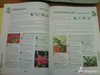 Иллюстрированная энциклопедия комнатных растений