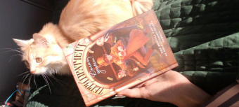 Терри Пратчетт: Делай деньги!