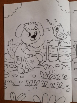 Раскраска А4. В огороде