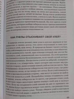 Александр Никольский: Занимательная зоология