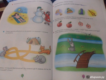 Василий Федиенко: Логика, память и внимание