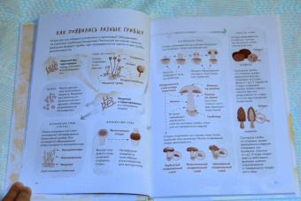 Михаил Вишневский: Грибы. Атлас-определитель