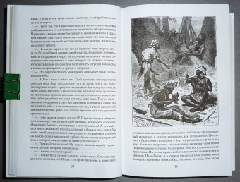 Луи Буссенар: Похитители бриллиантов