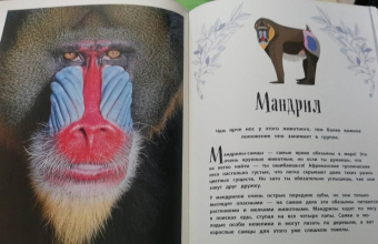 Бен Хоар: Удивительные животные. Энциклопедия