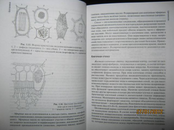 Зайчикова, Барабанов: Ботаника. Учебник