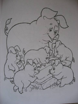 Татьяна Коваль: Домашние любимцы