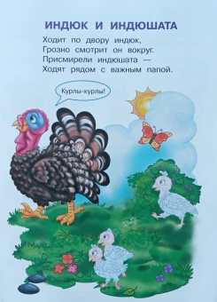 Ирина Шестакова: Домашние животные