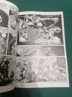 Рой Томас: Конан-варвар. Тайна Гибельной реки