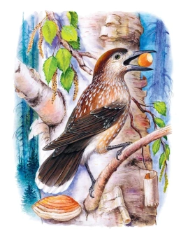 Пришвин Михаил Михайлович; Сладков Николай Иванович; Паустовский Константин Георгиевич: Рассказы о животных