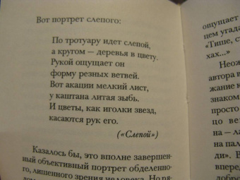 Ксения Некрасова: В деревянной сказке