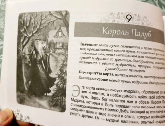 Энн Моура: Таро Зеленой ведьмы, брошюра