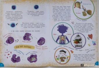 Вера Иванова: Как устроен человек?