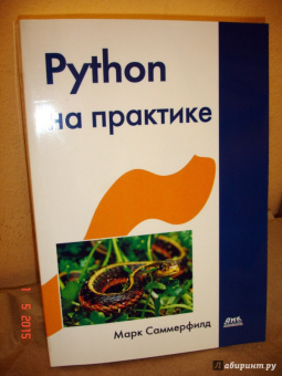 Марк Саммерфилд: Python на практике. Создание качественных программ с использованием параллелизма и библиотек