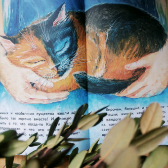 Анна Федулова: Вместе не страшно