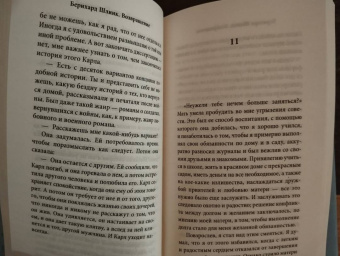 Бернхард Шлинк: Возвращение