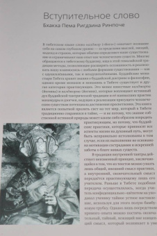 Иан Бейкер: Тибетская йога. Теория и практика тантрического буддизма
