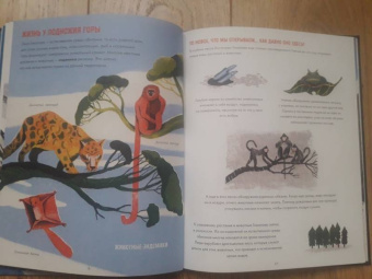 Сангма Фрэнсис: Эверест