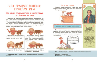 Анастасия Выгон: Куда катится колесо