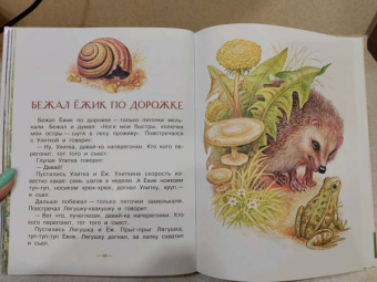 Николай Сладков: Бюро лесных услуг