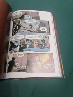 Гарт Эннис: Проповедник. Книга первая