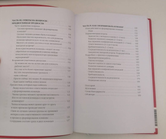 Патрик Ленсиони: Пять пороков команды:  практика преодоления. Программа для лидеров, менеджеров и модераторов