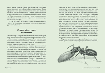 Андреас Хазе: Деревья. Как жизни человека и дерева переплетены друг с другом