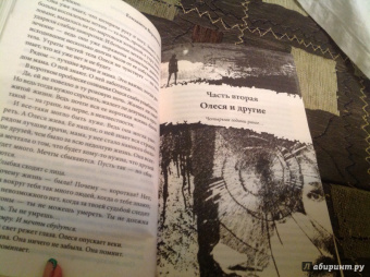 Елизавета Воронина: Олеся. Сожженные мечты