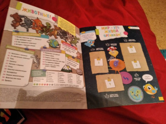 Альбом для коллекционирования наклеек "Зоопланета 2020" (8018190009323)