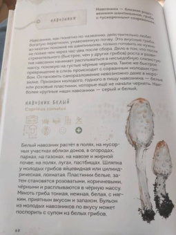 Михаил Вишневский: Грибы. Атлас-определитель