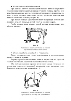 Анникова, Козлов: Клиническое исследование животных. Учебное пособие для СПО