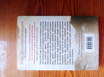 Александр Тамоников: Огненный тыл