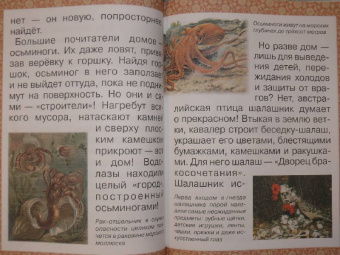 Инна Гамазкова: Гнезда, норки, домики