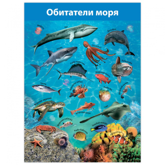 Комплект плакатов. Животные мира