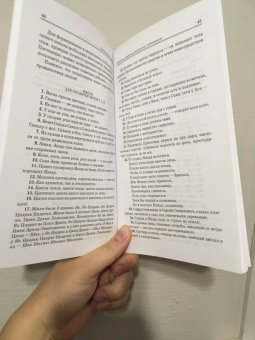 Анна Бруссер: Основы дикции. Практикум. Учебное пособие