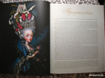 Бенжамен Лакомб: Мария-Антуанетта. Тайный дневник королевы