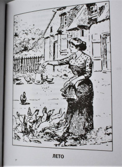 Вероника Долина: Букет гарни