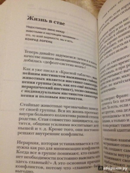 Андрей Курпатов: Чертоги разума. Убей в себе идиота!