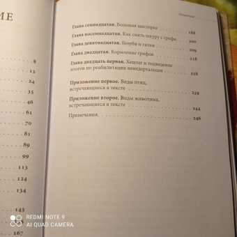 Клайв Финлейсон: Умный неандерталец. Охота на птиц, пещерное искусство и когнитивная революция