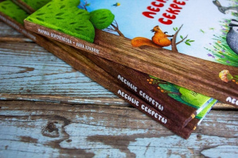 Дороченкова, Кравчук: Лесные секреты