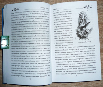 Вальтер Скотт: Уэверли. В 2-х томах