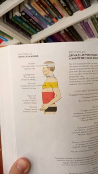 Синди Дэйл: Тонкое тело. Полная энциклопедия биоэнергетической медицины
