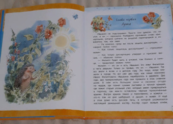 Ирина Токмакова: Счастливо, Ивушкин!