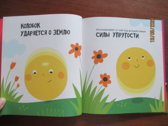 Алиса Ткачева: Ньютоновская физика