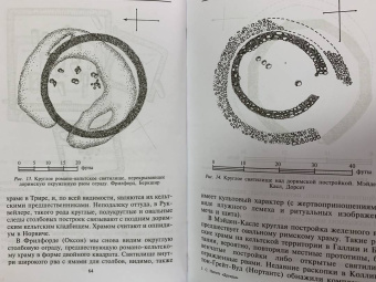 Стюарт Пиготт: Друиды. Поэты, ученые, прорицатели