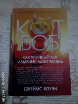 Боуэн, Дженкинс: Как уличный кот изменил мою жизнь