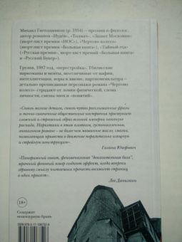 Михаил Гиголашвили: Чертово колесо