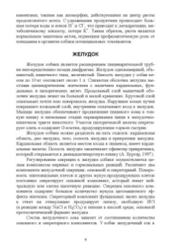 Зеленевский, Конопатов: Морфология и биохимия собаки. Учебное пособие для СПО