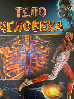 Маркус Джонсон: Тело человека. Виртуальная реальность